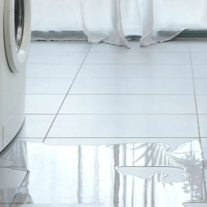 Appliance Leak Cleanup in San Joaquin Hills, CA