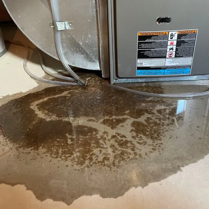 Pipe Burst and Leak Restoration in San Joaquin Hills, CA